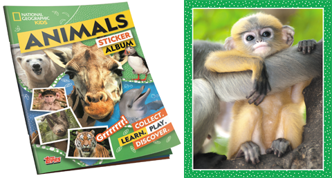 Sticker 170 Topps Wilde Tiere National Geographic 