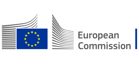 Toy companies call on Ursula von der Leyen to make online sellers play by European safety standards